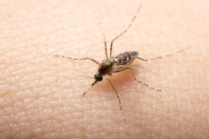 Confira 6 passos para desintoxicar o organismo